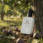 D'QAR Parfüm WILD FIG